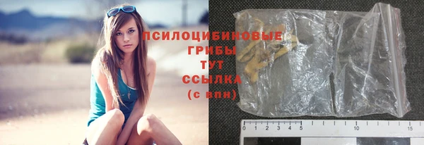 метадон Арсеньев