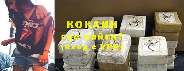 СК Алексин