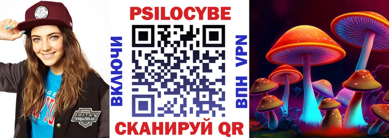 купить   Жирновск  мега рабочий сайт  Галлюциногенные грибы прущие грибы 